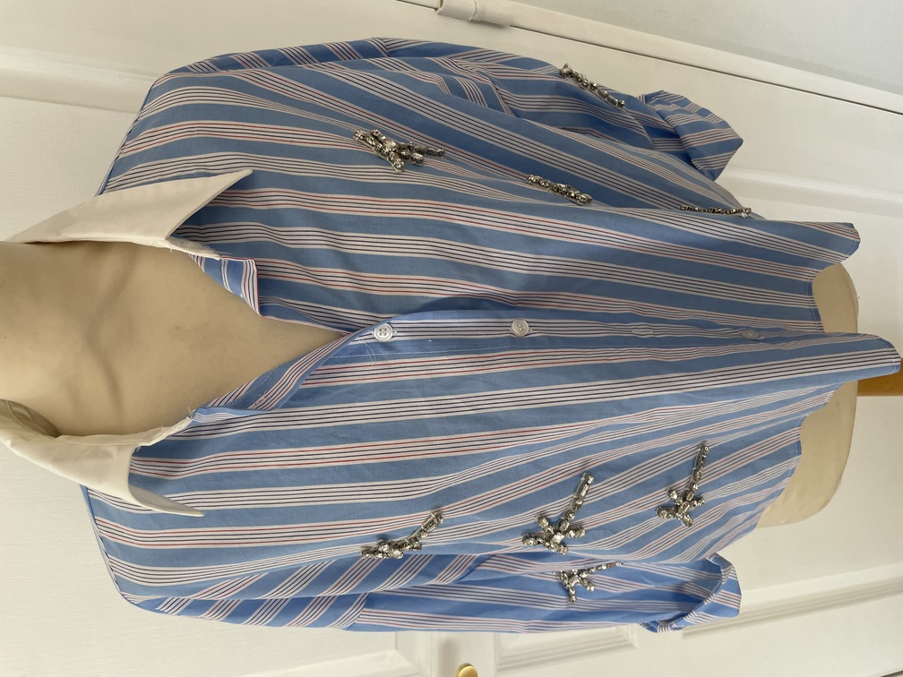 Chemise rayée libelulle strass 36/46